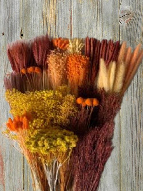 MONOCHROMATIC TINTED FALL DRIED GRASSES AND FILLERS ASSORTED COMBO BOX